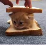 $ouI