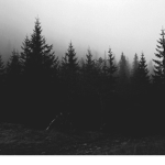 The cult of the Unforgiven