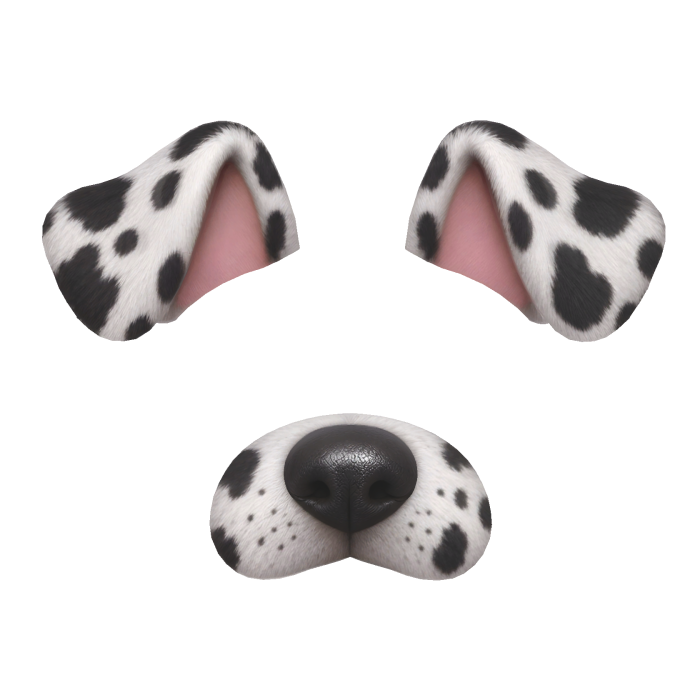 Dog Filter