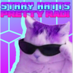 Stray Katts
