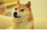 Doges of the universe