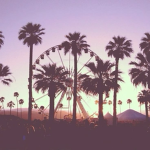|~| dianxen paradise |~|