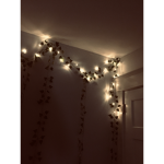 Fairy Lights Clothing Co.