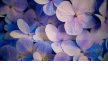 Purple Bestie Hangout!