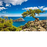 The Kingdom of Nature