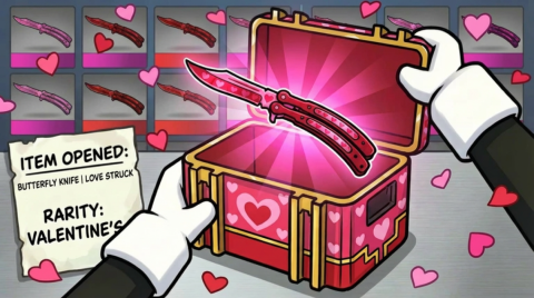 Case Paradise