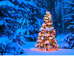 Christmas Hangout