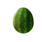 Watermelon (Official Group)