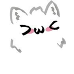 C.S Cat Studio