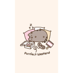 The Pusheen FANS!