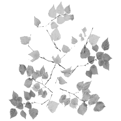Square Two-Sided Decal