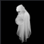 NFNC(No face no case}
