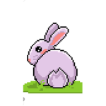 The Bunny House