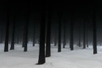 NS on tour Group Thumbnail