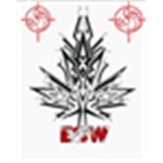 E.C.W