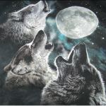 Moonstone wolf pack