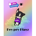 P e y P e y Playz