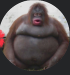 DrippiestGroupOnRoblox