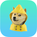 Doge Nation The True Nation