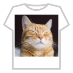 cute cat