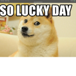 Doge woods