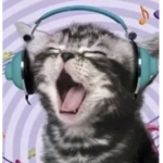 C0r34n