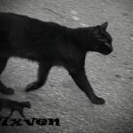 7xven