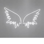 !onii's angels!