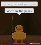 Vitality's Ducklings