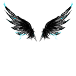 broken wings