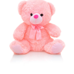 Teddy bear girl Bestie