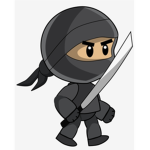 The ninja broz