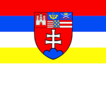 The 700th Infantry Division