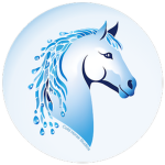Cold Horse Studios