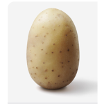 Potato group Number2