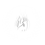 Vexirium