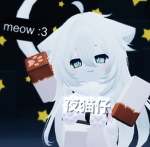 夜猫仔的粉丝群 :3