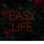 EASYLIFE