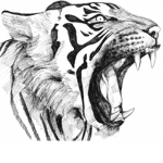 Tigers forever don t kill it