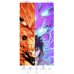 Anime fighting ranks