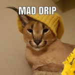 Mad Drip...