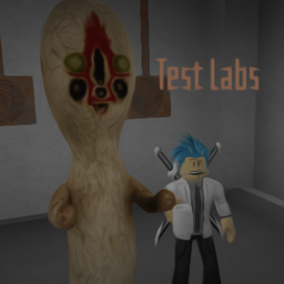 Test Labs 4.1v