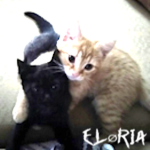 ELØRIA