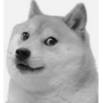Many doges
