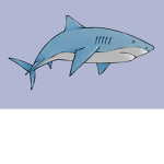 The gummy shark gang