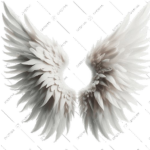 ҃҃҃҃҃ ҃҃҃҃҃҃҃҃҃҃