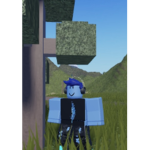 Nbgaming group