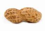 The 1one and only Peanut Brains