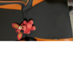 Foxy plush fan group plz join