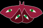 Following of the Moth